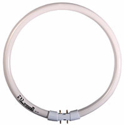 Osram T5 FC 22W/840 2GX13 Circline Lumilux CW