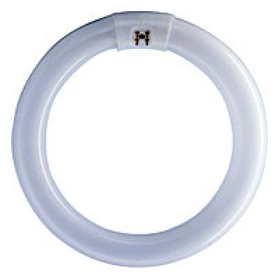 Osram Lumilux L 32W/865 C G10q Cool Daylight