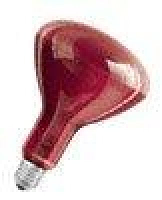 Osram Sicca RED 250W E27 / Rotfilter