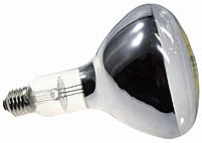 OSRAM SICCA CL 250W E27 / klar