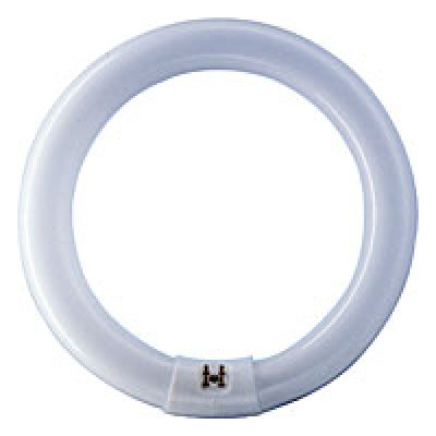 PHILIPS Master TL-E Circular 32W/865 G10q Super 80 Daylight