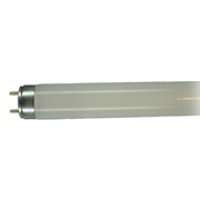 Philips TL-D 18W/830 G13 warmweiss 