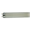 T8 OSRAM L Fluora