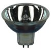 Focusline Halogenlampen