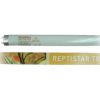 Reptistar T8