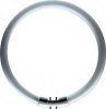 T5 Circline Plus