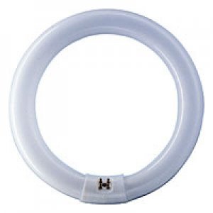 T9 Circline Plus